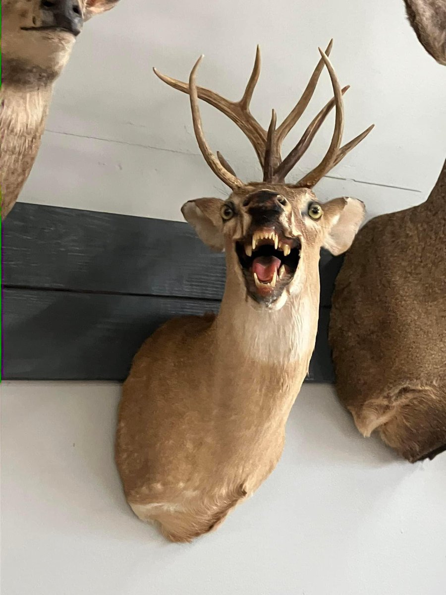 MorrowProject's tweet image. He looked harmless at first, then attacked. Steve took weeks to recover. 

We call it a Carnadeer. Oh you think that is lame? What would you call it?