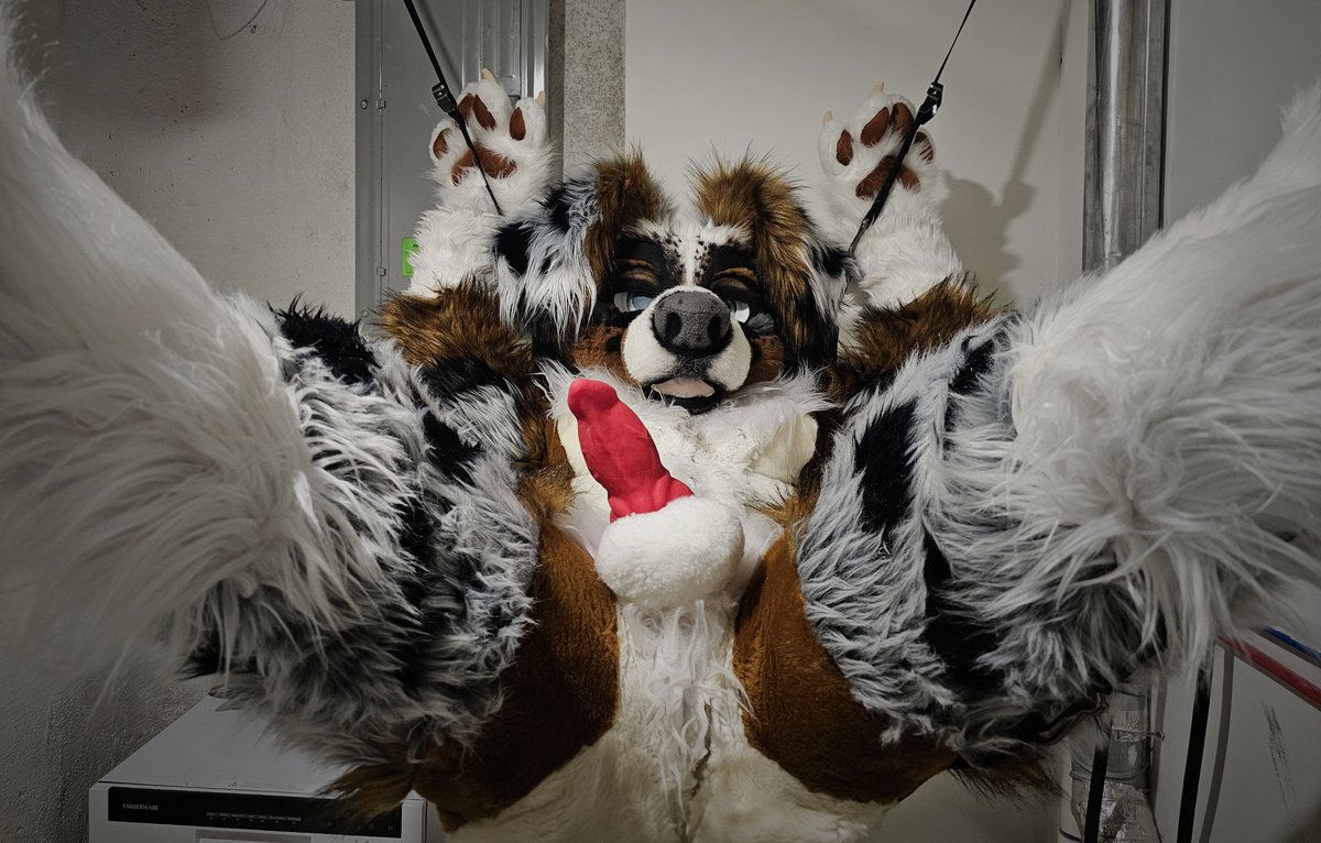 goorb_'s tweet image. Just got to AC, just hanging around....
~Wanna have some fun 😏

📸: @PupStriped