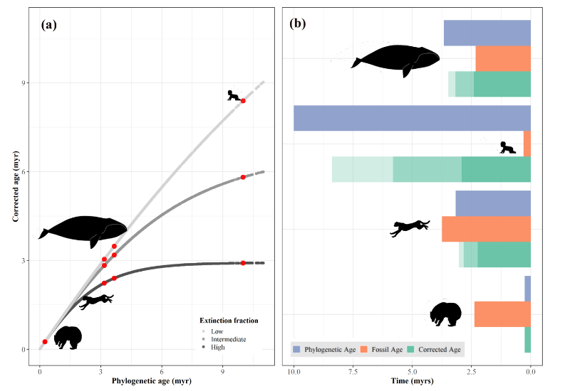 Carlos Calderón del Cid tweet media