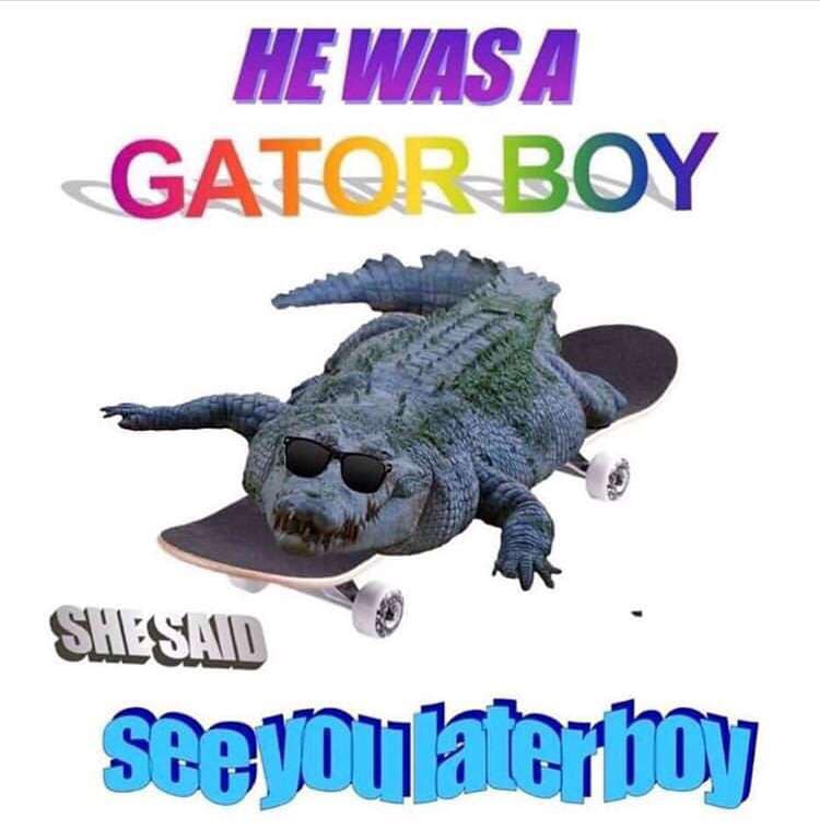 Gators Daily 🐊 (@gatorsdaily) on Twitter photo 