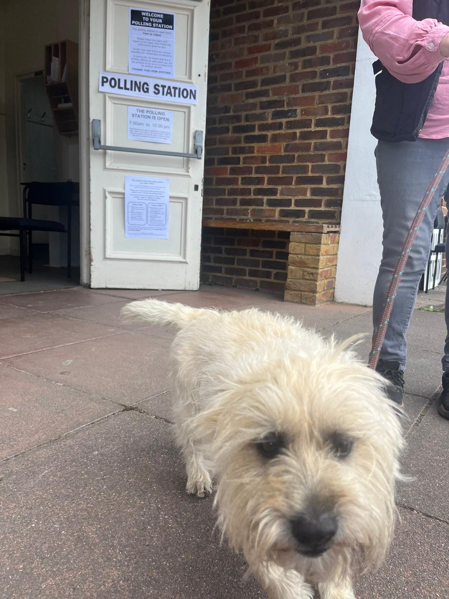 🚨 The polls indicate a more than likely chance of spotting #dogsatpollingstations today 🚨

If you needed another reason to vote THIS IS IT.

- Also everyday people have the power to win change and together we can hold the next Government to account 🔥 Don't forget your photo ID