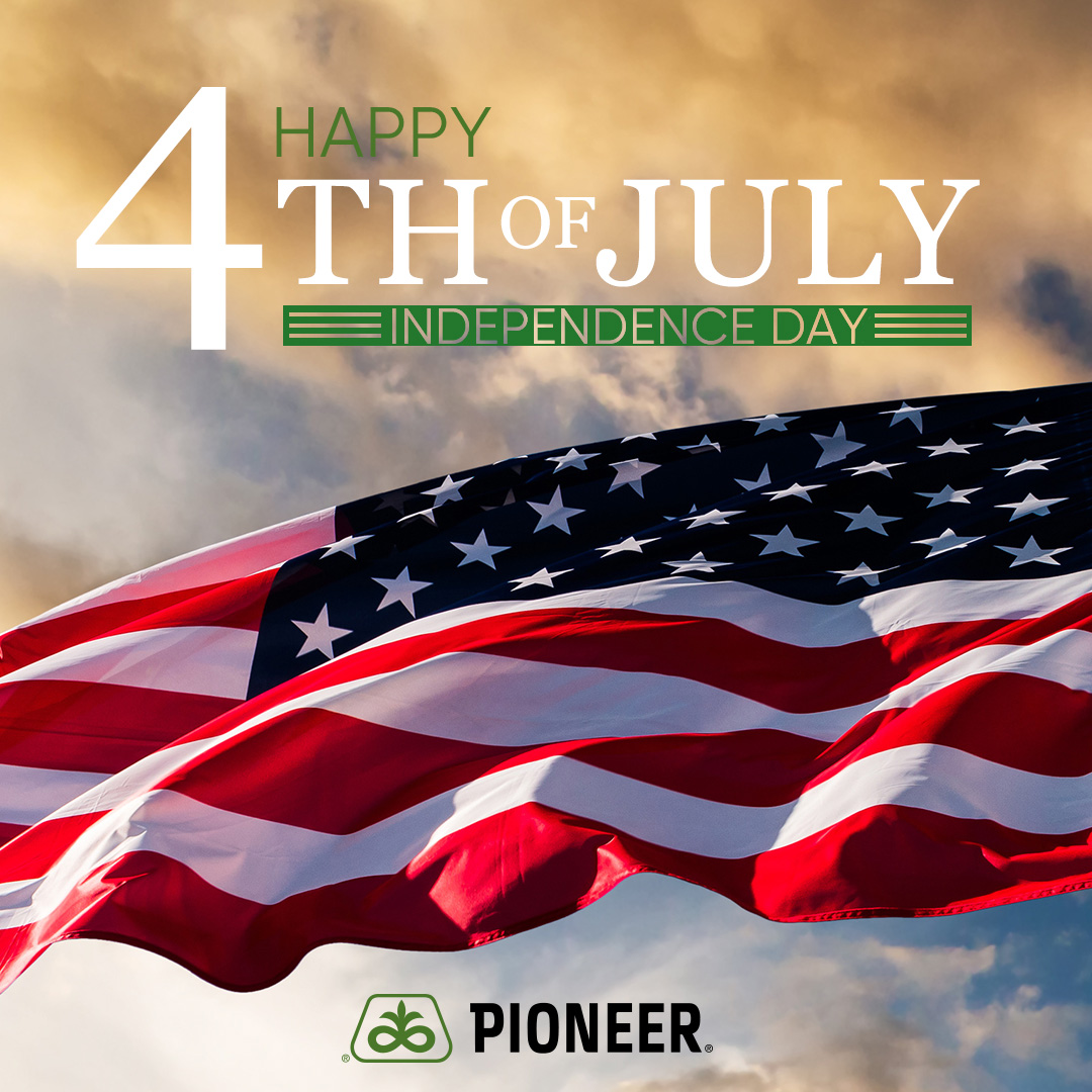 Happy Independence Day! ❤️ 💙