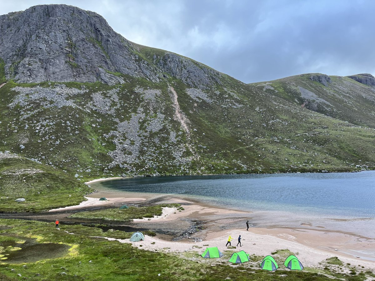 Alison DofE tweet media