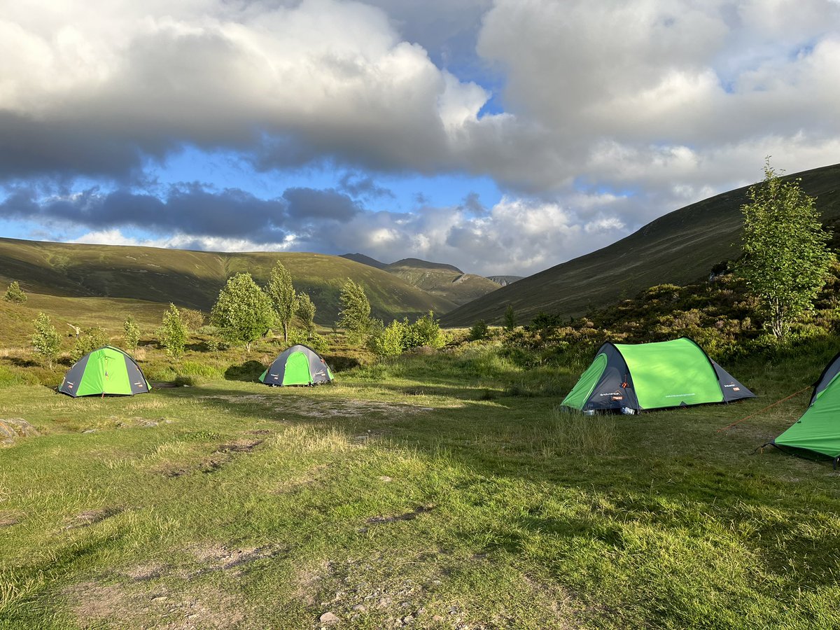 Alison DofE tweet media