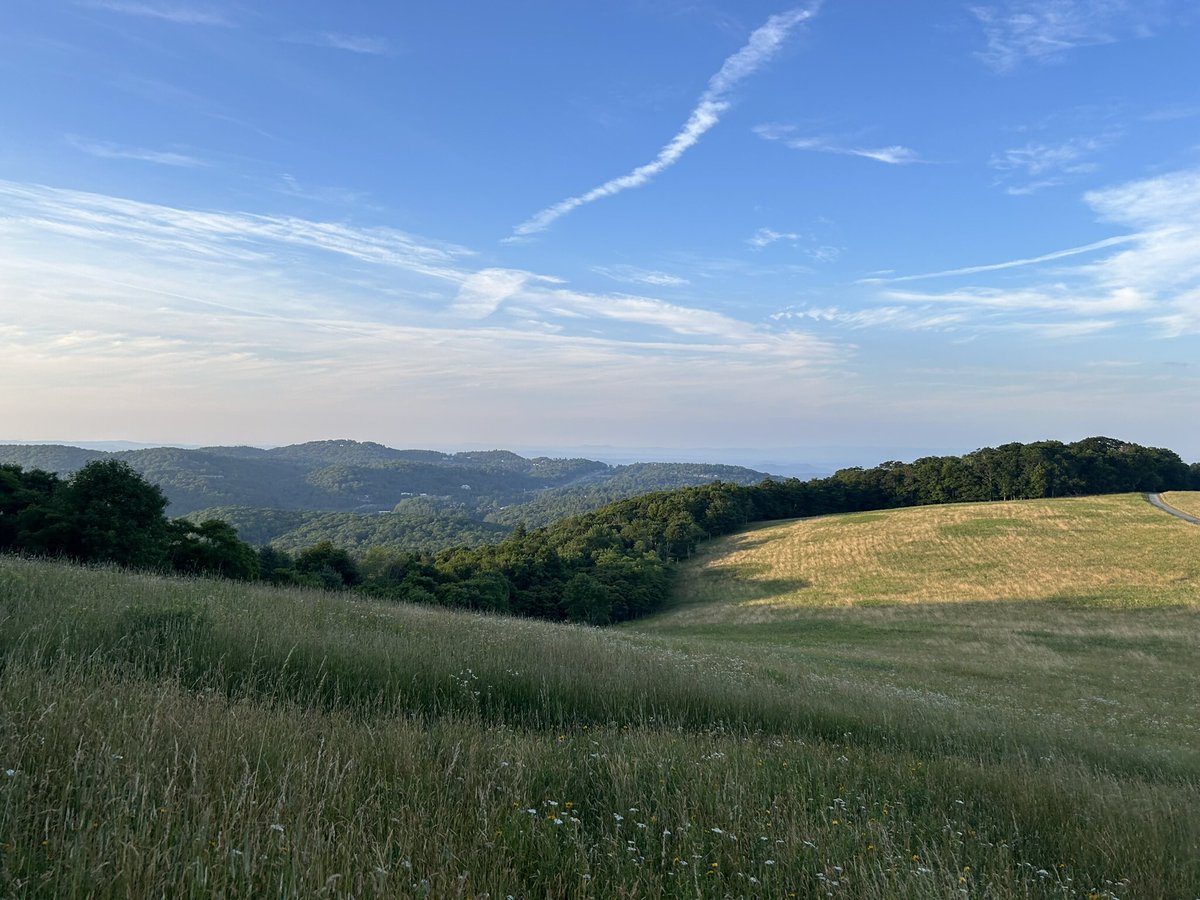 Steven Long tweet media