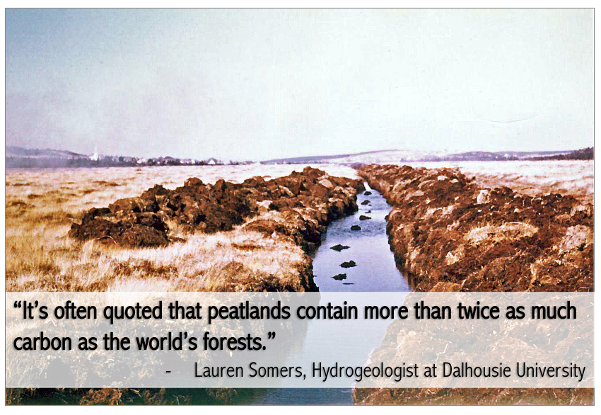Our next story for this week: Restoring one of Nova Scotia’s best carbon sinks, by @zackmetcalfe.

climatestorynetwork.ca/for-peats-sake… #novascotia #LCC #climatestories @hci3_fund <a href="/LaurenDSomers/">Lauren Somers</a> <a href="/DalhousieU/">Dalhousie University</a>