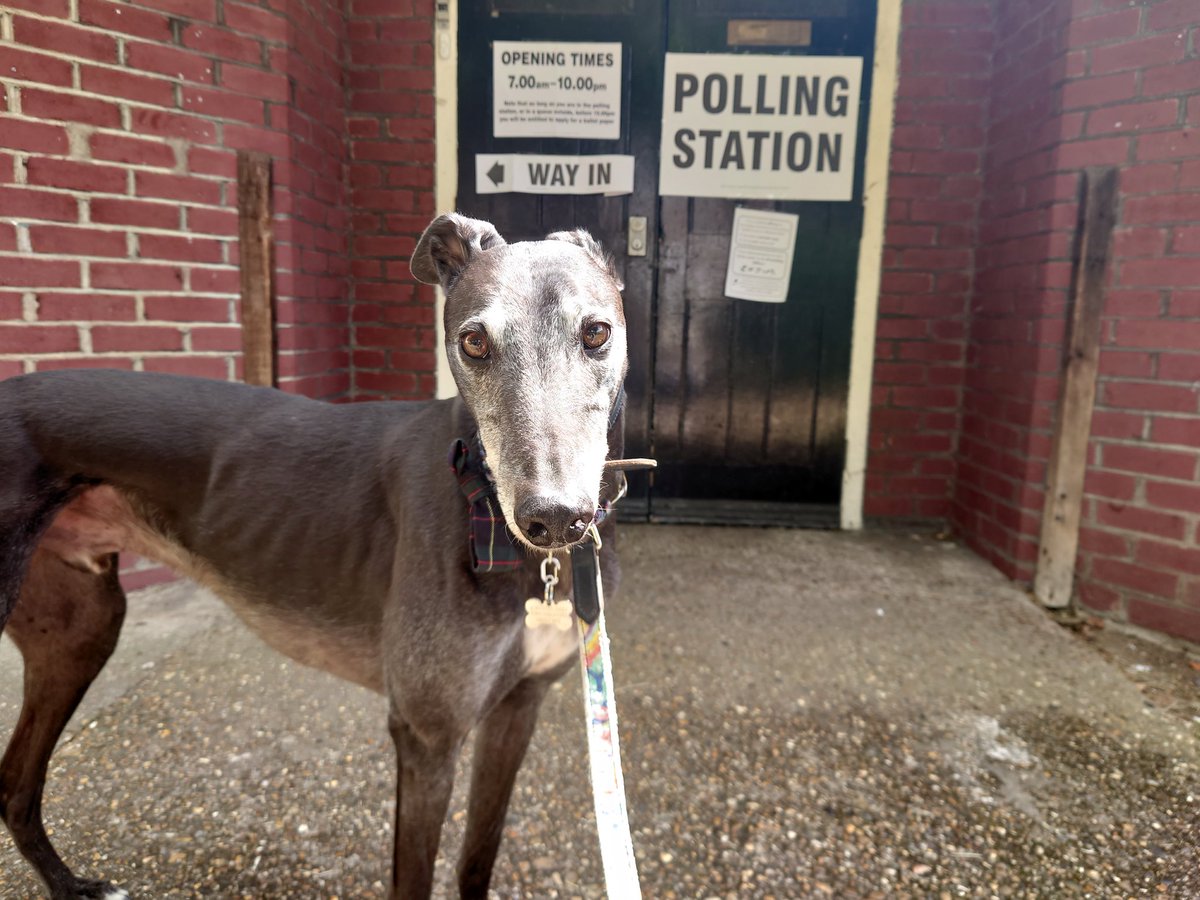 Ryan had to be bribed with snacks but we got there in the end. He voted for more treats and comfy sofas #DogsAtPollingStations <a href="/VotingDogs/">#DogsAtPollingStations</a>