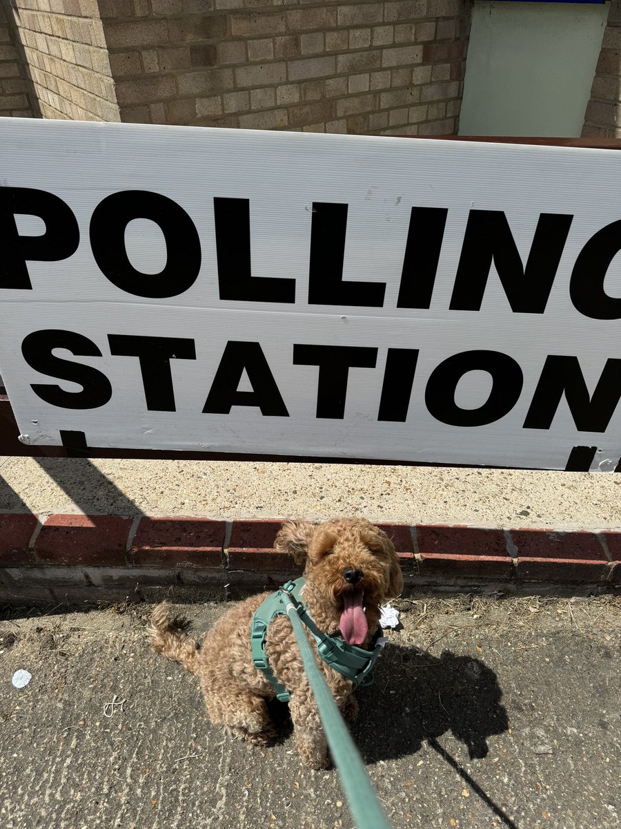 It’s impawtant to have your say!#DogsAtPollingStations