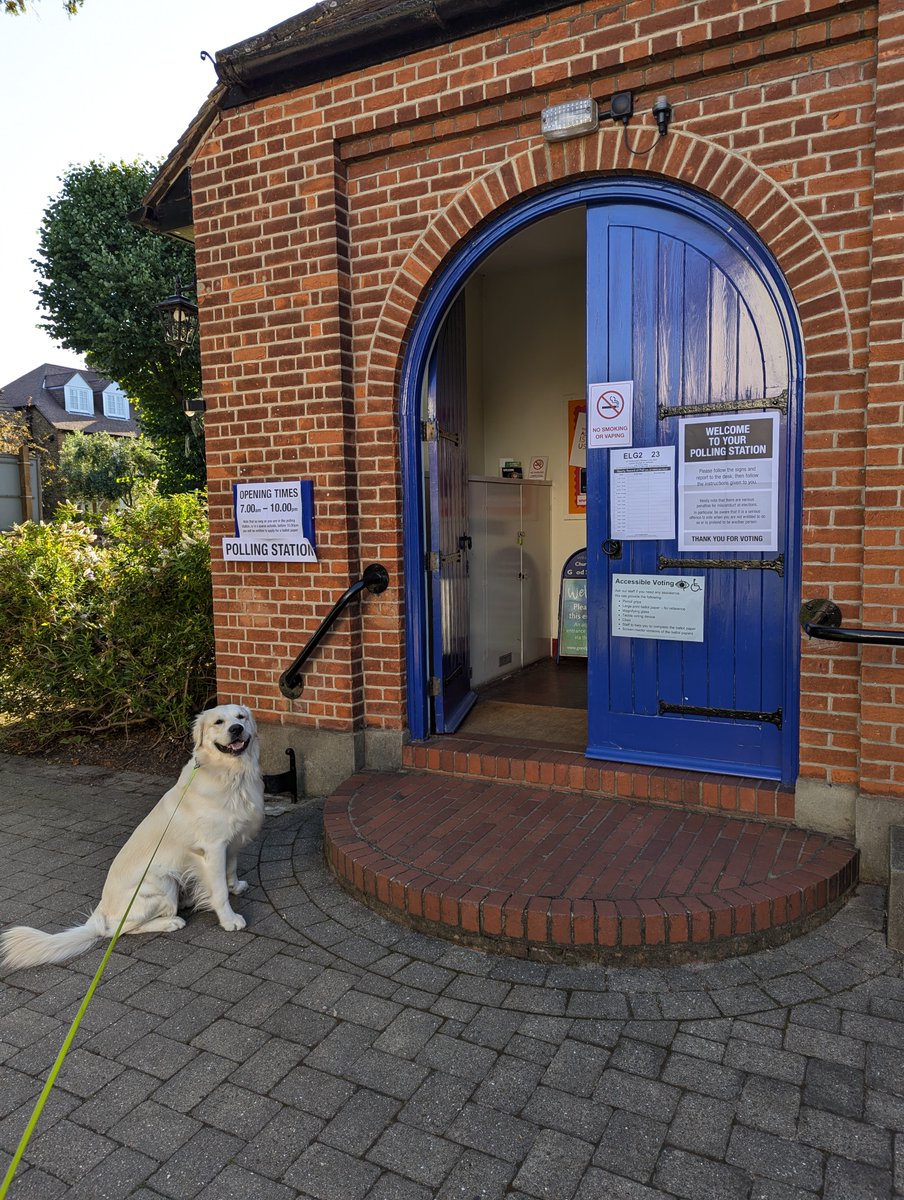 #dogsatpollingstations