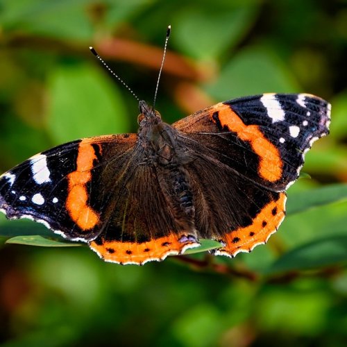 Agroecology-TRANSECT tweet media