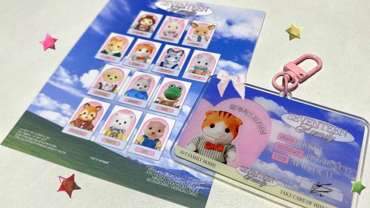 sunshitori's tweet image. family identification card ! #HOSHI 🐯🎀

˖ ࣪⋆ postcard &amp;amp; keyring frm: @sevenpsd