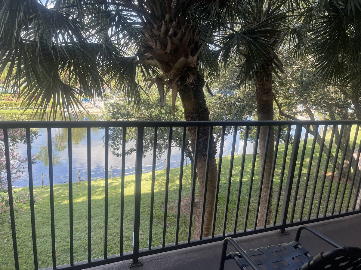 LimelightCrypt0's tweet image. Made it to Orlando and Telly is 🔥 🔥 🔥