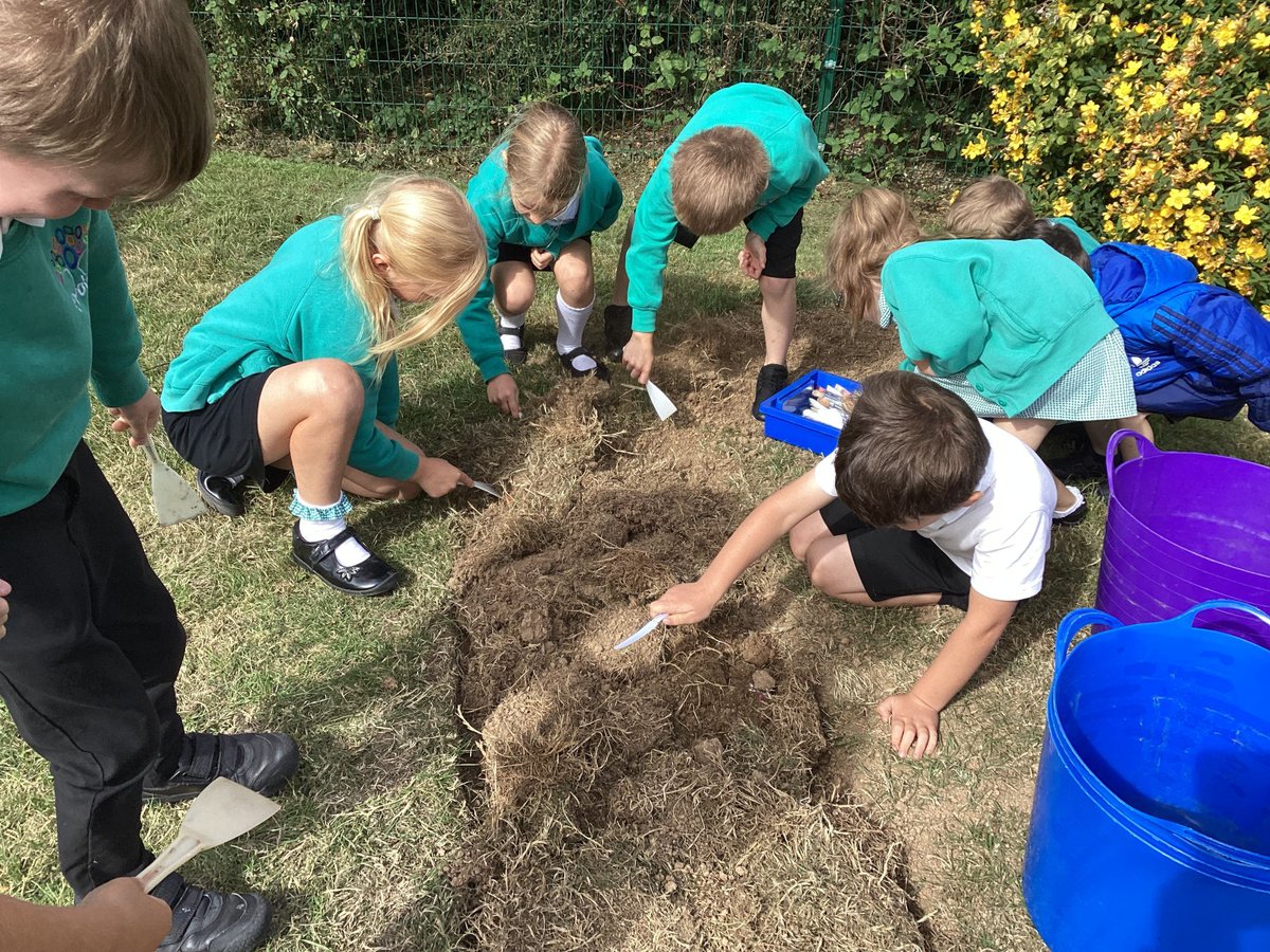 ProbusSchool's tweet image. Today, Beech and Willow class became archeologists! They took part in their first ever dig to explore toys from the past and present. They excavated, cleaned, recorded and sorted them.