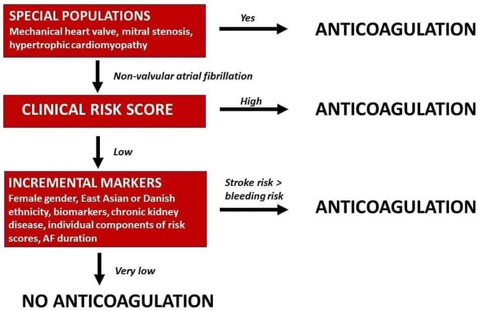 ZHeart11768530's tweet photo. 🔴🔖Thromboembolic risk stratification in atrial fibrillation—beyond clinical risk scores ✏️ #Review #openaccess
🔹https://t.co/64eMW11wUW
#AF #arrhythmia #stroke #thromboembolic https://t.co/d8XRXDXn6V