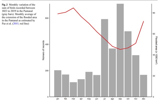 🚨New Paper🚨

A pleasure to share the first paper by one of my lab’s students!😍

Congrats to Leda Stefan + thanks to her coadvisor dr. Thais Zanata.

Our sampling on the birds of Pantanal—the largest tropical inland wetland—is quite limited and biased.

link.springer.com/article/10.100…