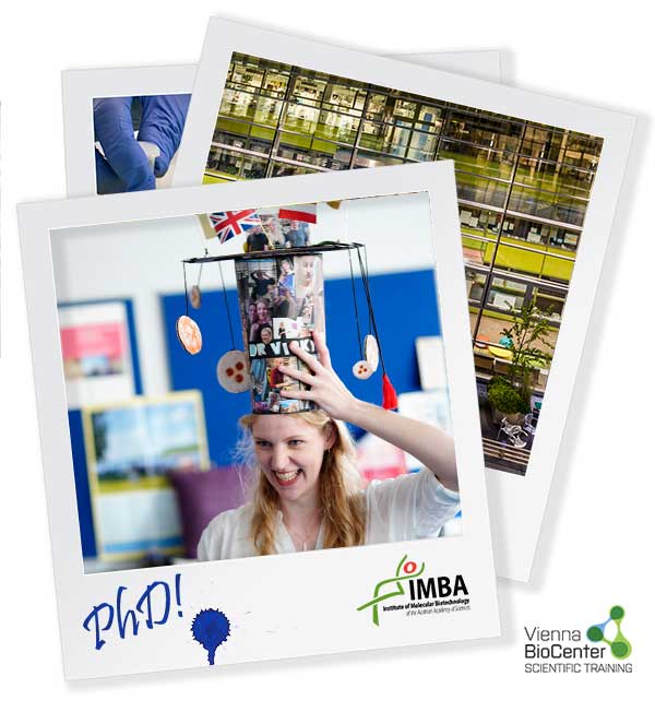 TrainingVbc's tweet photo. Congrats to Viktoria @HolzmannV PhD (@NRivron Lab), who defended her thesis: Use of embryonic &amp; extra-embryonic stem cells to infer the signalling interactions directing differentiation &amp; morphogenesis during implantation stages. @univienna @IMPvienna @IMBA_Vienna @gmivienna https://t.co/bRXebHPJ06