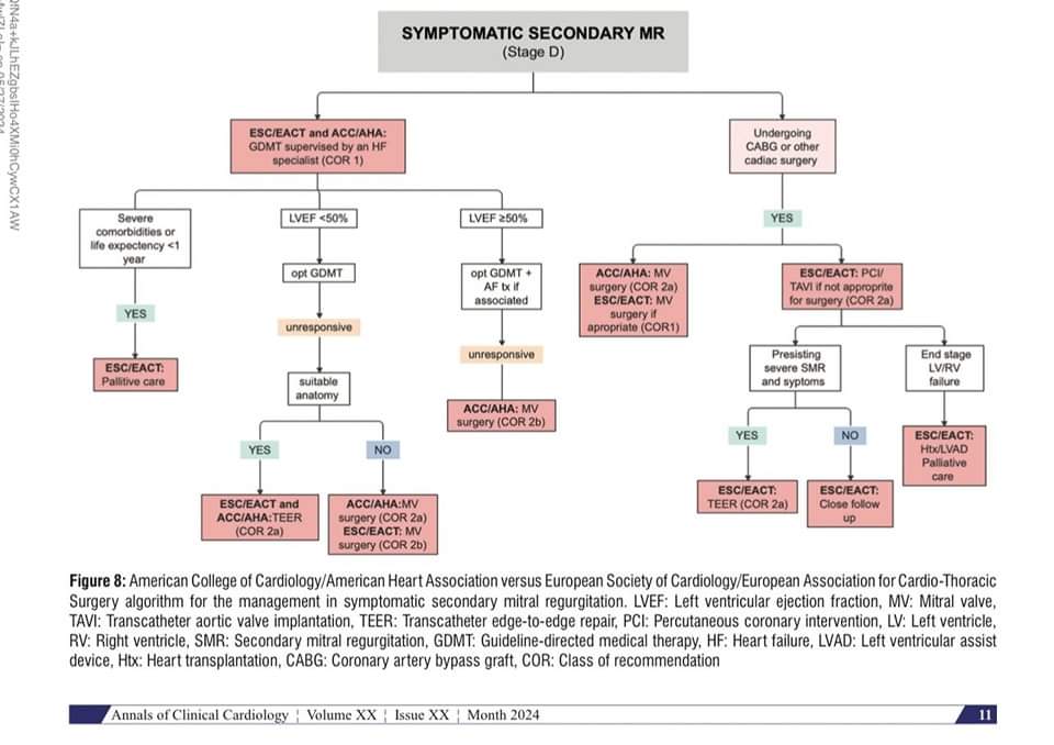 ZHeart11768530's tweet photo. 🔴 Mitral Regurgitation Quantification, Management, and Guidelines: A 2024 Update
 #openaccess 

✅https://t.co/nI8XOEPkhP
  #medEd #CardioTwitter #cardiotwitter #MedX #MedEd #cardiology #cardiotwiteros #FOAMed #medicine #cardiox #medical #cardiovascular #medtwitter #medtwitter https://t.co/APvjZFeDJi