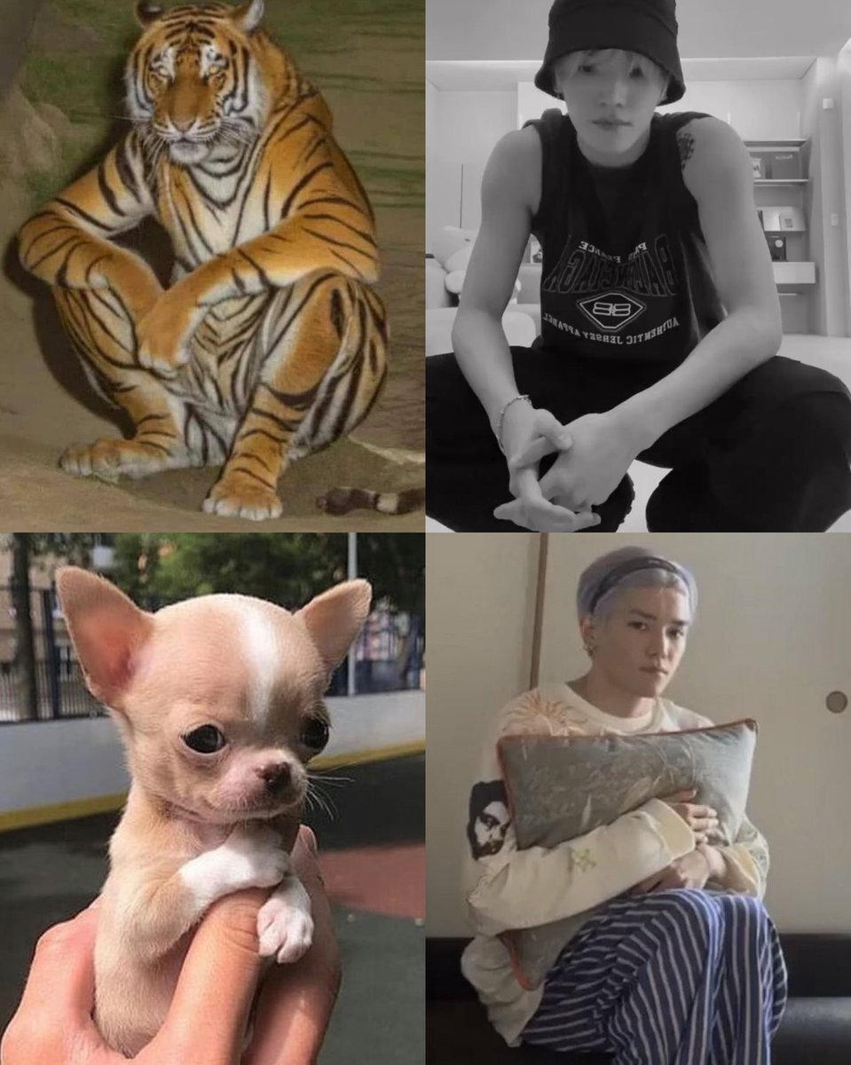 𝑰𝒃𝒆𝒃𝑼 🐾 tweet media