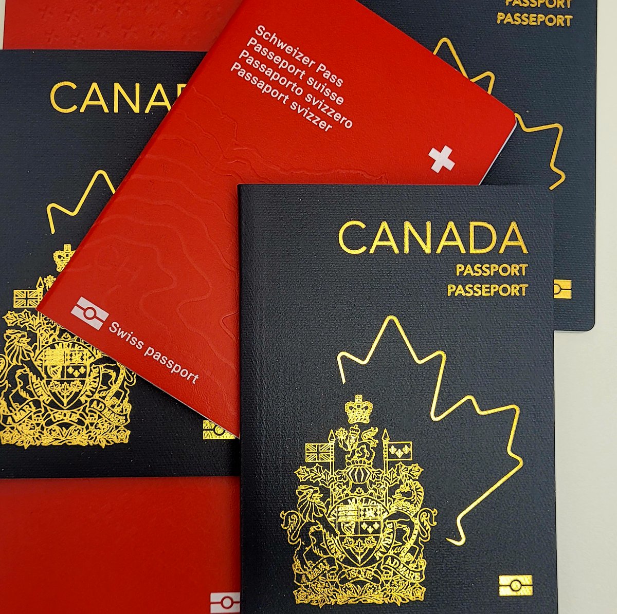 CanSuisse's tweet photo. [#RAPPEL] Voyagez-vous au Canada cet été? ✈️☀️

Tout citoyen #binational a besoin d'un passeport canadien valide pour s'envoler au 🇨🇦 

Plus d'infos: https://t.co/PeXC3inATv https://t.co/nkexkEt0xk