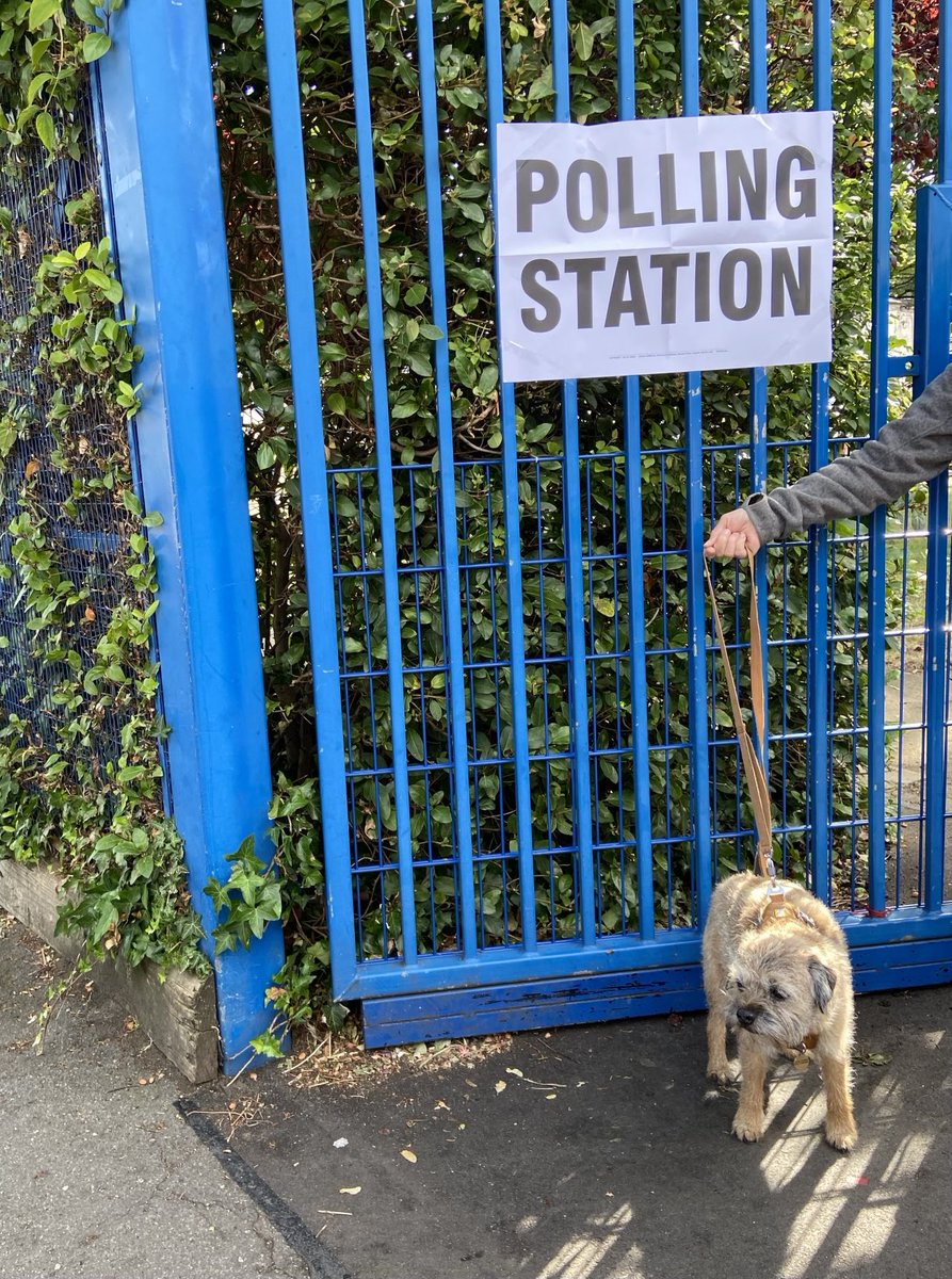 #dogatpollingstation