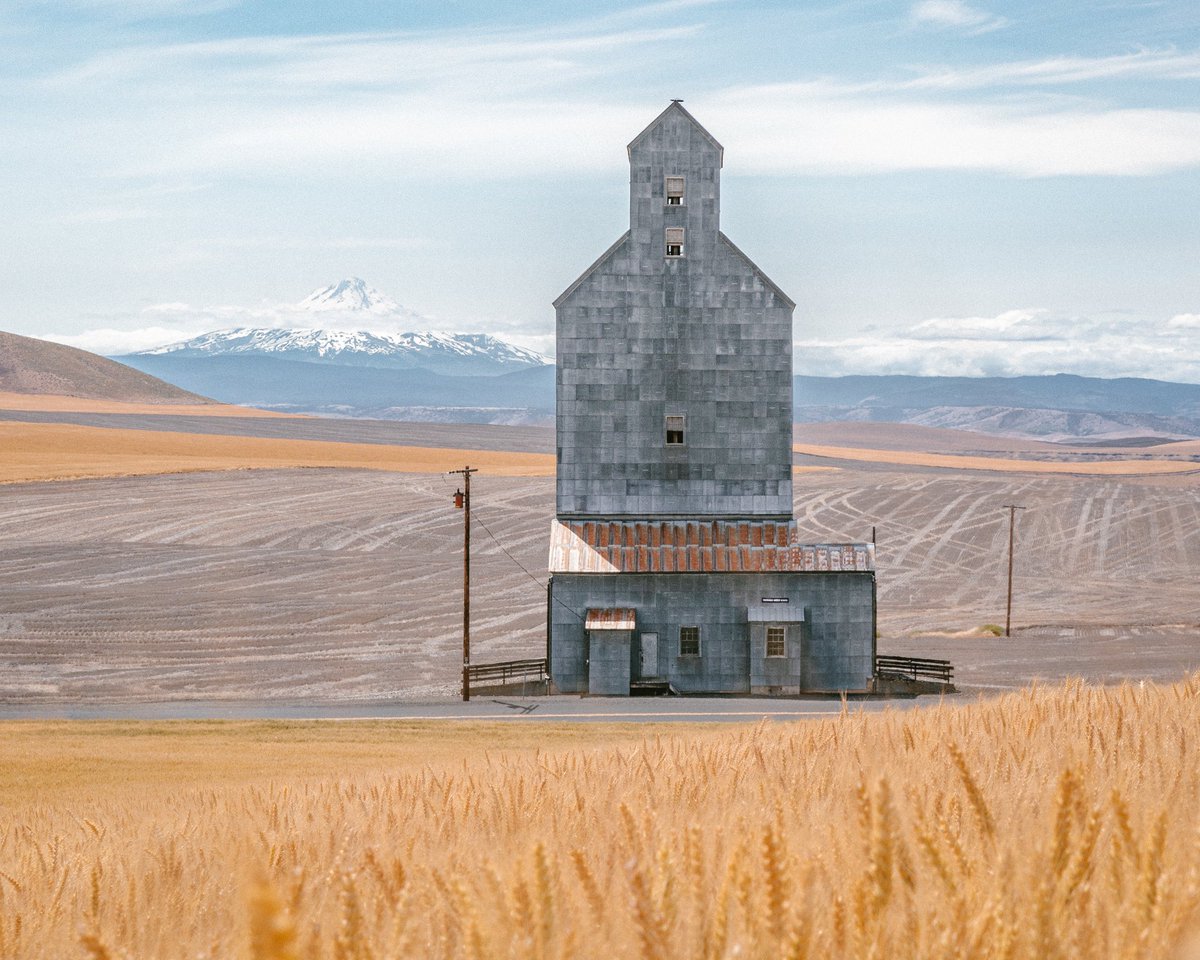 Brendon Burton tweet media