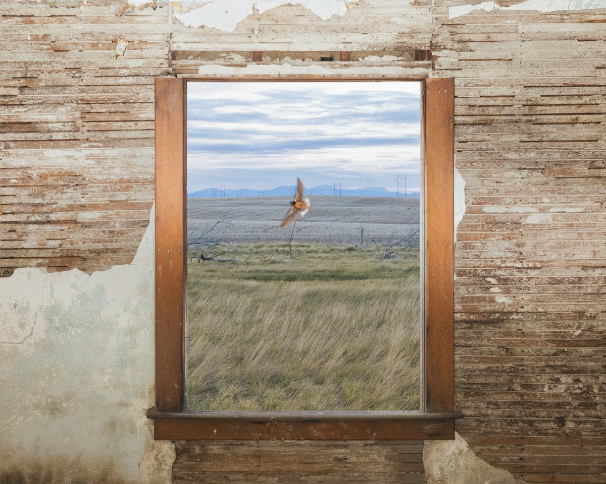 Brendon Burton tweet media