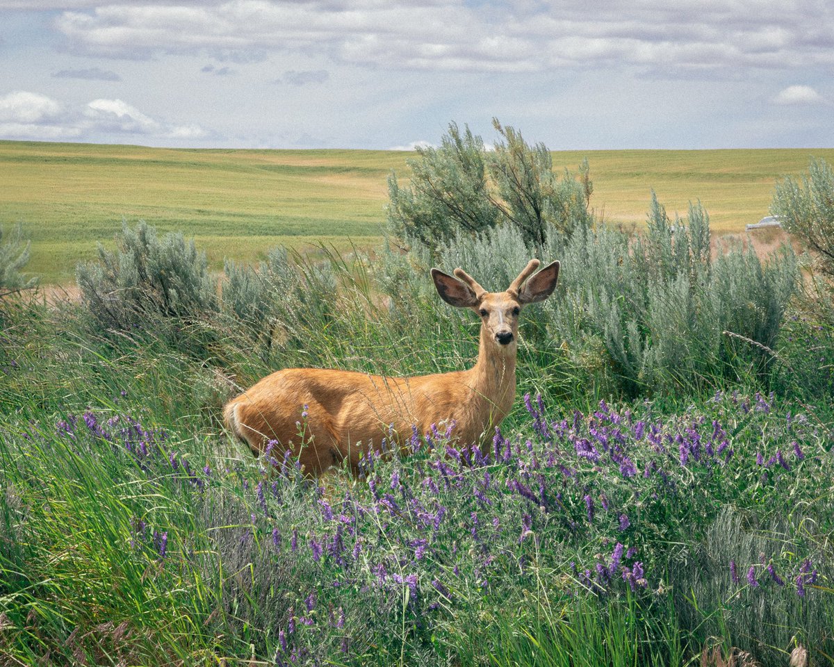 Brendon Burton tweet media