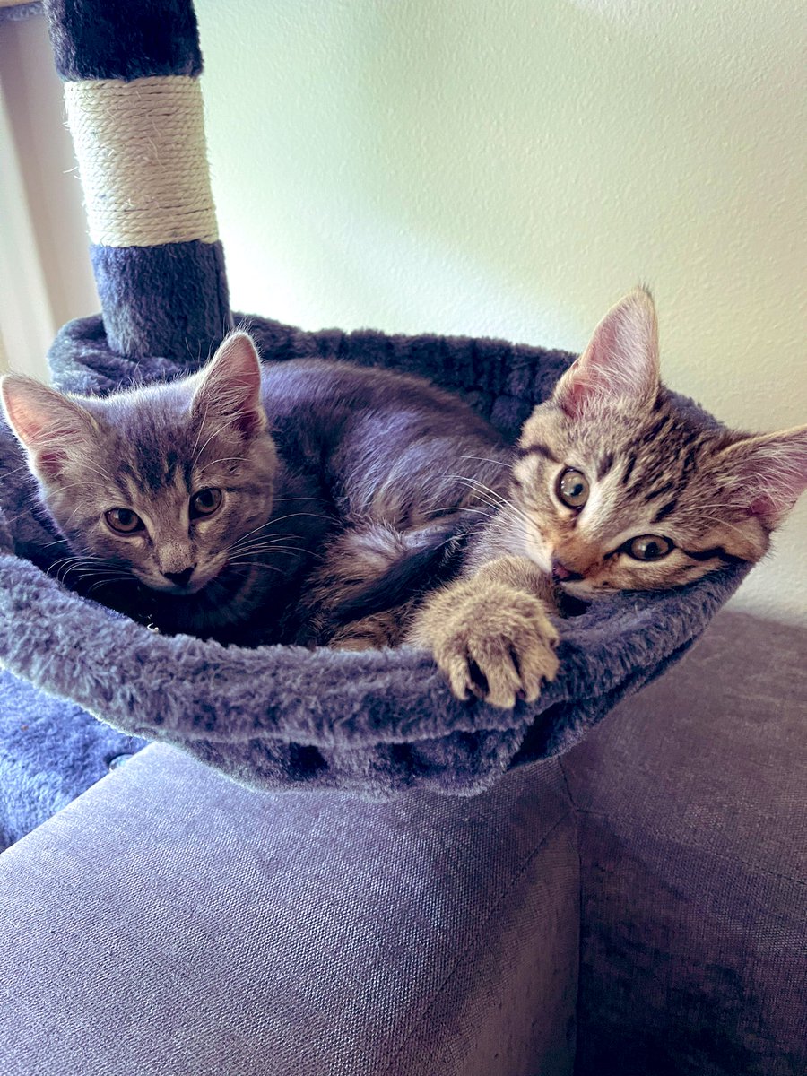 slim_lang's tweet photo. Sisters https://t.co/FbeWqlds6Z