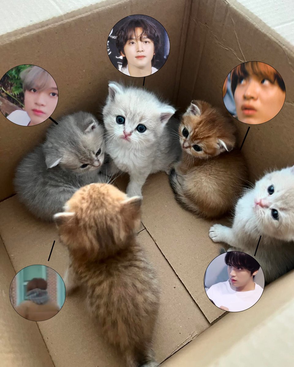 12thurs's tweet image. ชาวแก้งเหมียวดง