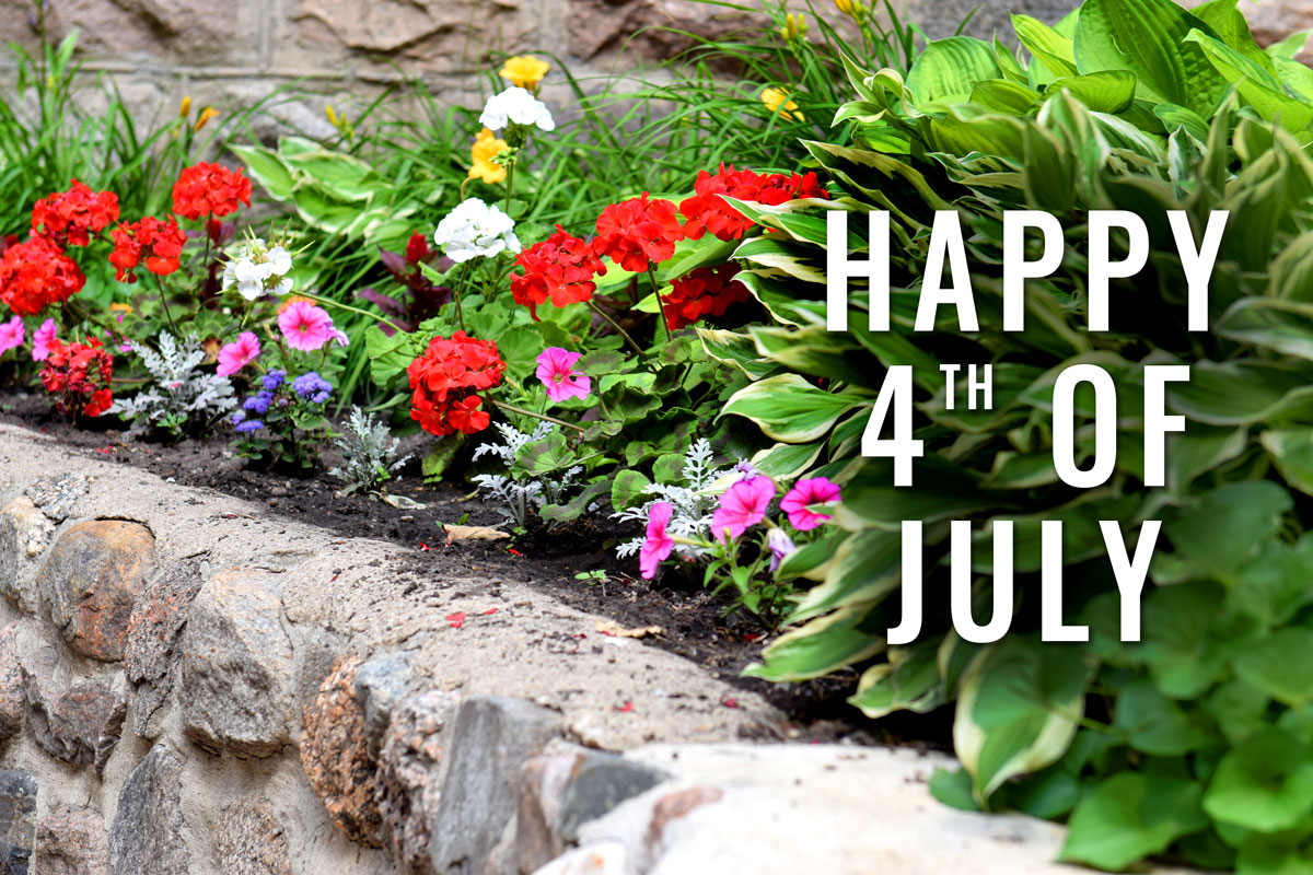 VCSU's tweet photo. πΊπΈ "With thy banner red and blue. May the years that pass away show our loyalty."
- VCSU Alma Mater written by Josephine Wright Rhoades, a 1917 graduate.
We join with our nation today in celebrating July 4th! π
#vcsupride #celebrate https://t.co/TK6lurj4D1