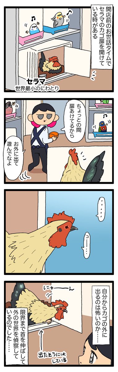 お店にいるニワトリちゃん、カゴの外が気になる……が……?🐓

1167 #えるポピの絵日記かくところ 