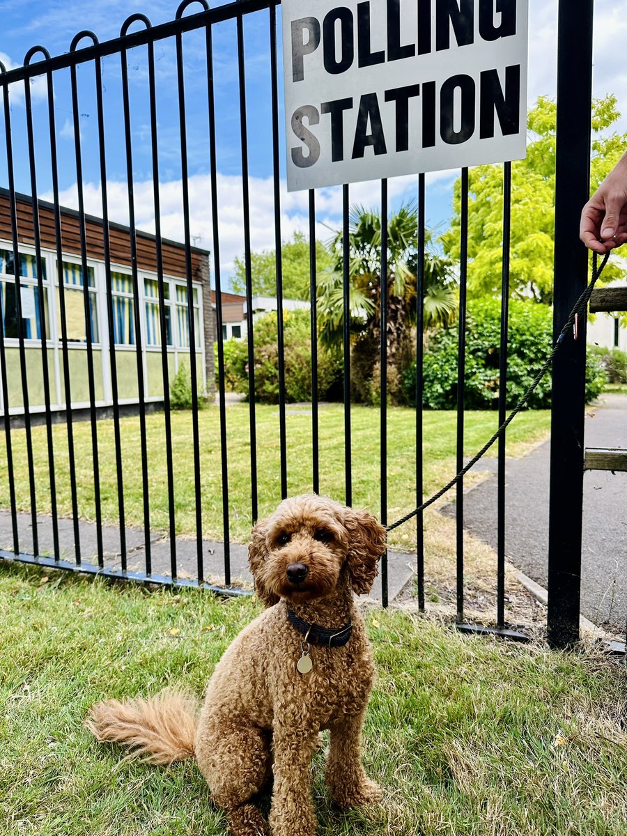 Penny stands for double breakfast, free access to sofas and sticks for all #dogsatpollingstations