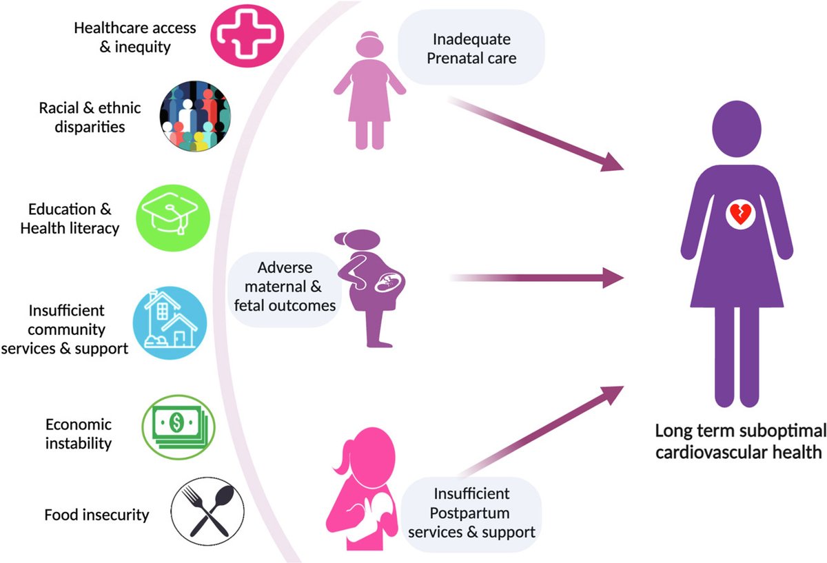 CJC Journals (@cjcjournals) on Twitter photo 🫀 Read about the impact of social determinants of health on pregnancy outcomes and maternal cardiac health!🤰 onlinecjc.ca/article/S0828-… <a href="/DrLaPrincess/">LaPrincess C. Brewer, MD, MPH</a> <a href="/jason_bonomo/">Jason Bonomo</a> <a href="/DrLaxmiMehta/">Dr. Laxmi Mehta</a> #CJC 🫀 Read about the impact of social determinants of health on pregnancy outcomes and maternal cardiac health!🤰 onlinecjc.ca/article/S0828-… <a href="/DrLaPrincess/">LaPrincess C. Brewer, MD, MPH</a> <a href="/jason_bonomo/">Jason Bonomo</a> <a href="/DrLaxmiMehta/">Dr. Laxmi Mehta</a> #CJC
