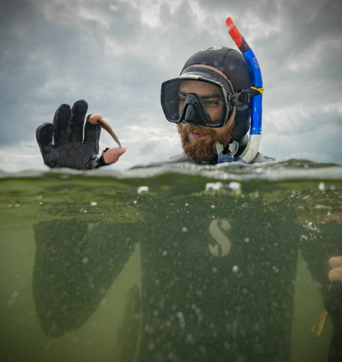 Maritime Archaeology Masters student Gerry who joined our program from the US, inspects a Mesolithic flint blade at a submerged site in Denmark. Photo taken yesterday during our survey collaboration with @MuseumMoesgaard