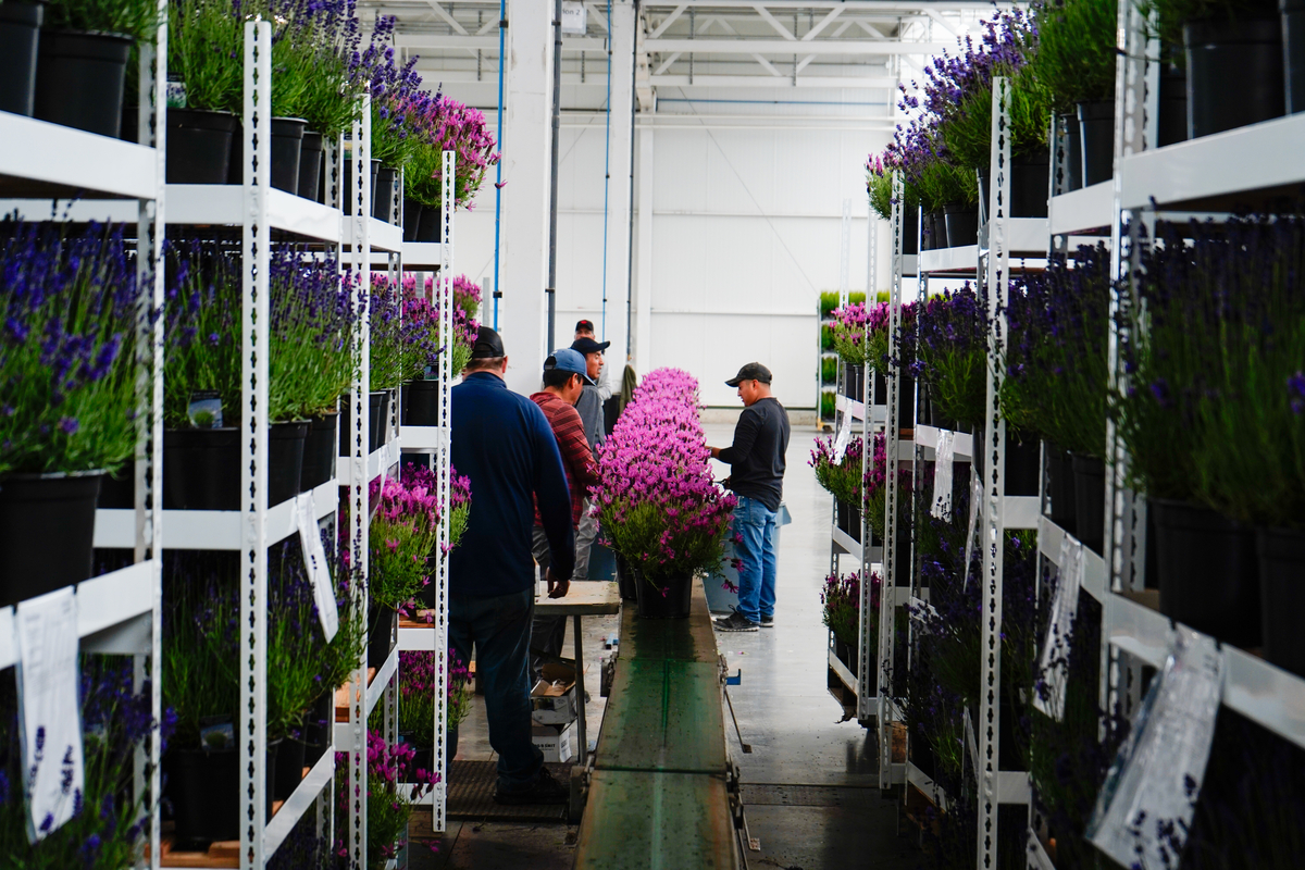 Qualitree tweet media