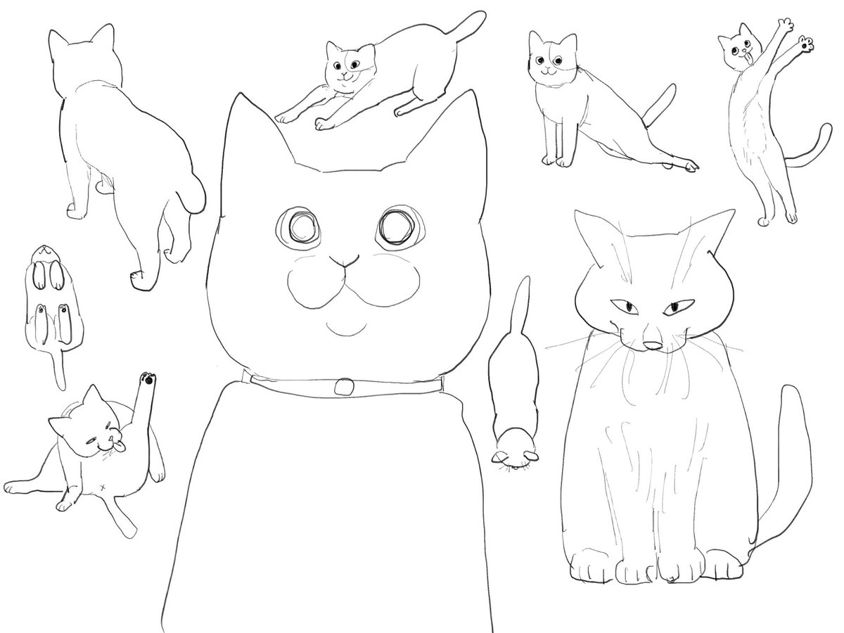 おまちかねのねこだよ 