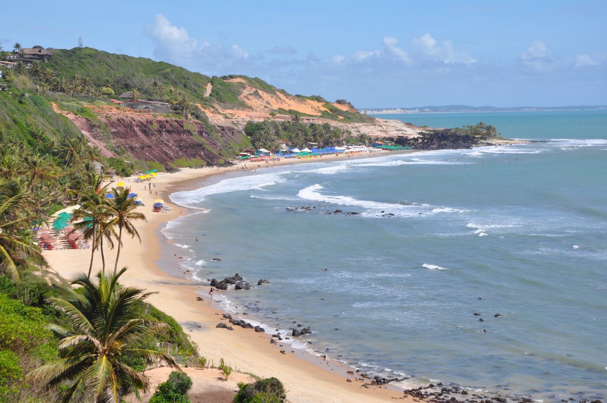 harrylpg's tweet photo. 🖥️🇧🇷Hoy (y muy habitual) en mi WhatsApp y DM:
✍️ Harry, quiero ir a la playa en Brasil. ¿Me pasas precios?

🇧🇷Brasil tiene casi 7000 kilómetros de playa. Veamos, de Sur a Norte, las mas visitadas por los Argentinos y con vuelos lógicos. Hay playas movidas, mansas, con piletas naturales,etc. Para todos los gusto.
📢Seguramente hay miles más, sobre todo pueblitos y villas veraniegas. Los invito a que nos cuenten ese secreto bien guardado.

🏖️Florianópolis. Para mi el paraíso más cercano. De septiembre a Abril podes ir a la playa.

🏖️Rio de Janeiro: se disfruta todo el año. Hoy 4 de julio, hace 30 grados.
🚗Desde Rio en auto al norte: Buzios, Cabo Frio y Arraial Do Cabo.
🚗Desde Rio en auto al sur: Ilha Grande, Parati, Angra dor Reis.

🏖️Porto Seguro, Arraial D’Ajuda y Troncoso. A mi, personalmente son las que menos me gustan. Si tenes que elegir acá, Arraial es mi opción.

🏖️Salvador de Bahía: Una gran ciudad,aldeas pequeñas como Morro São Paulo y muchos hoteles con todo incluido como los de Praia do Forte e Imbassaí. Hay un vuelo directo de Aerolineas Argentinas.

🏖️Maceió y Recife: Gran oferta de hoteles ya sea todo incluido y solo con desayuno. Podes entrar por una y salir por la otra para visitar Porto Galinhas, Maragogi, Pratagy.

🏖️Natal, linda ciudad sobre el mar. Solo iria para ir a Pipa que queda a 1.30hs en auto hacia el sur.

🏖️Fortaleza: Puerta de entrada al paraíso del buceo, Fernado de Noronha que se llega en avión y desde aca traslados a Jericoacoara, muy de moda entre los amantes del Kite.

🖥️De casi todos estos destino, he dejado mis hoteles preferidos. Dejo el link a donde estan todos.
https://t.co/jiGTqUtNdZ