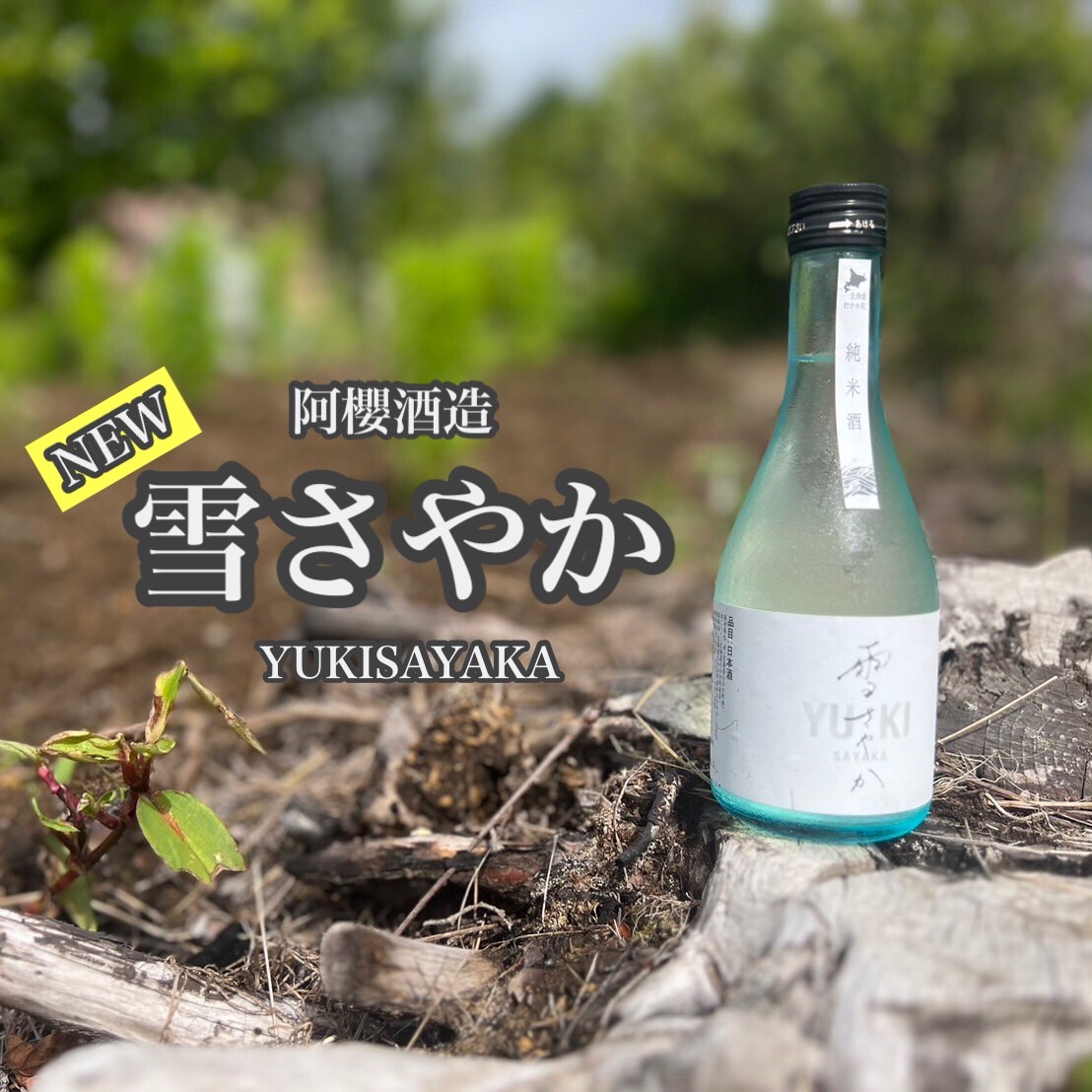 本日「雪さやか」解禁🍶】 むかわ町小坂農園さんのゆきさやかを使用