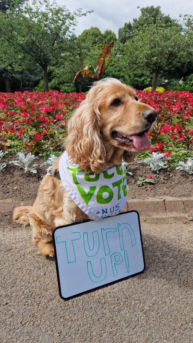 NUSWales's tweet photo. Good boy Riley turned up to encourage everyone to vote with us today 

#Vote #DogsAtPollingStations https://t.co/zU2M3f8uEc
