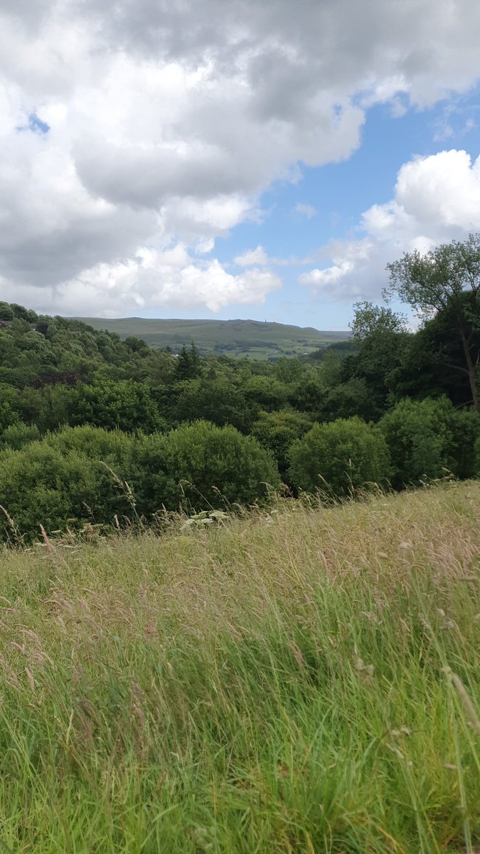 Out counting herons for the BTO...bto.org/our-science/pr…

4 so far.