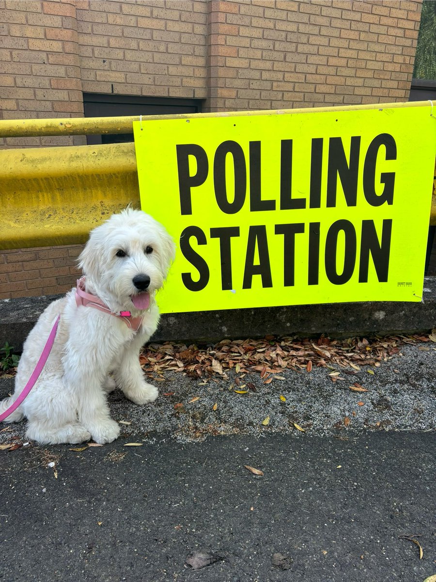 Took the puppy to the polling station🗳️
