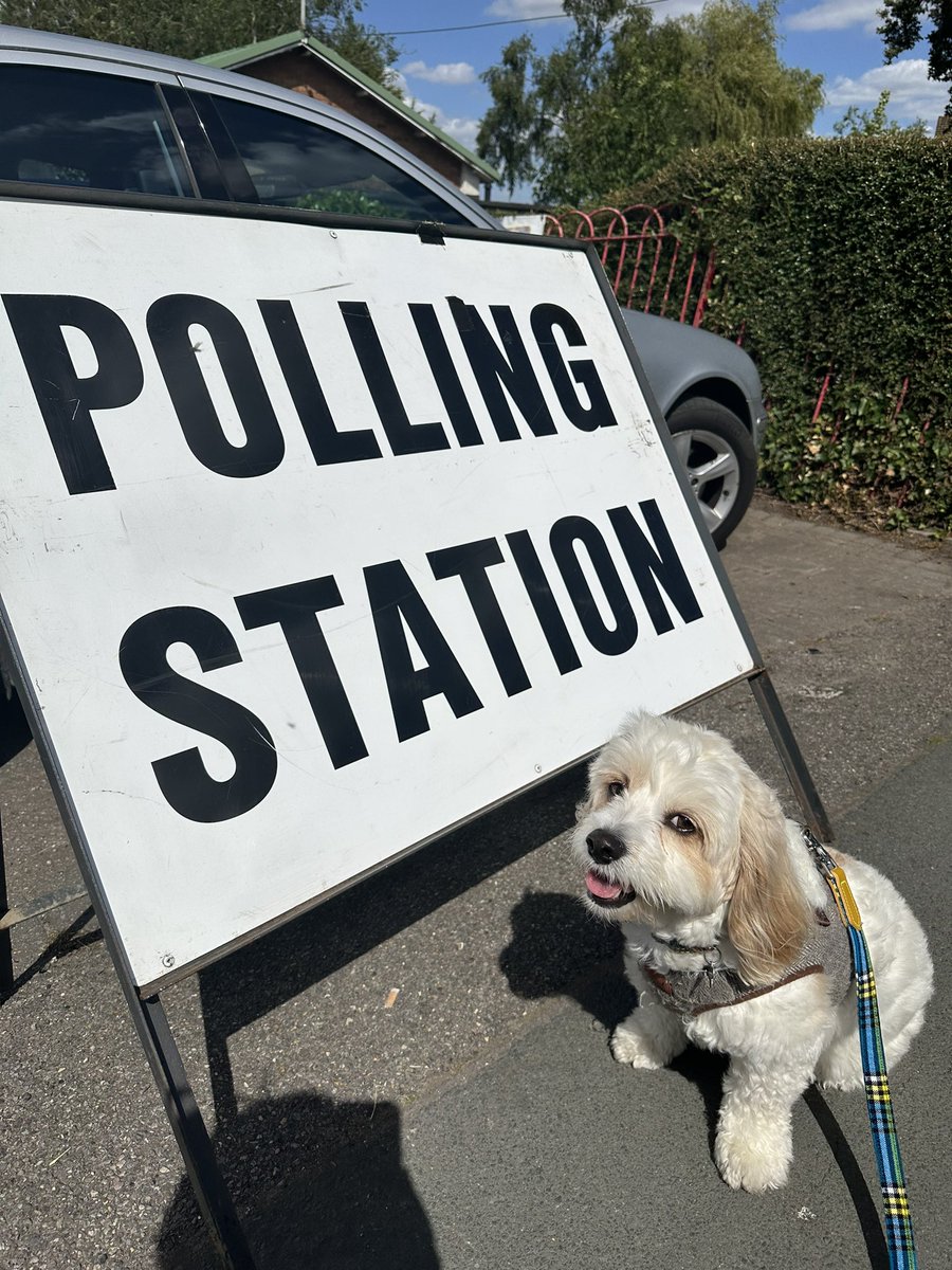 Katherine Raven tweet media