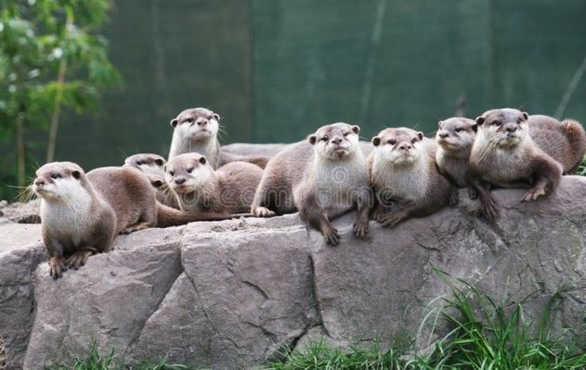 Jo Adams tweet media