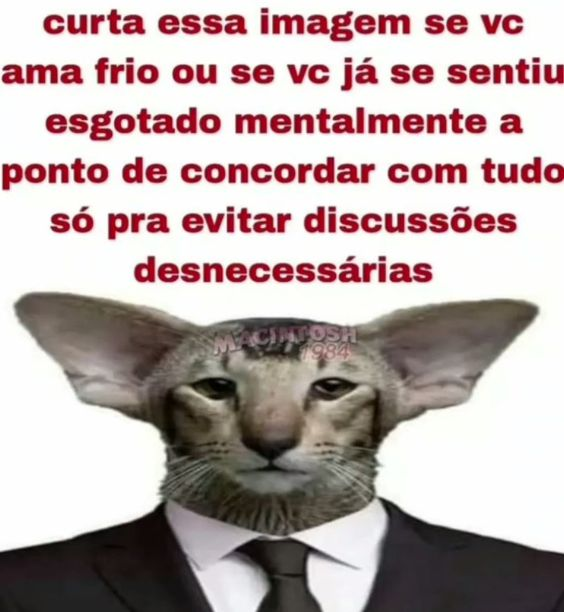 Terror do Cotidiano (@terrorcotidiano) on Twitter photo 