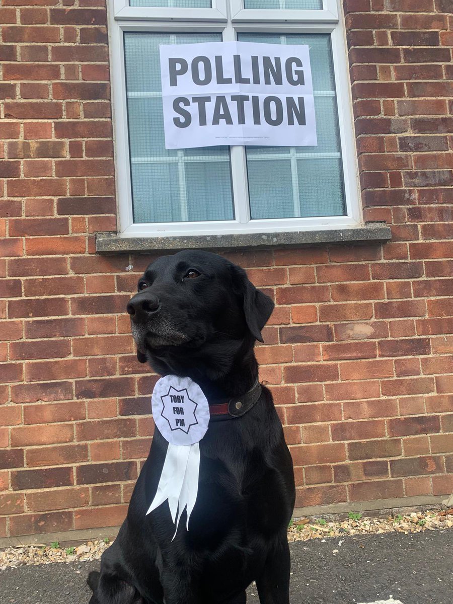 Don’t forget to vote 😊