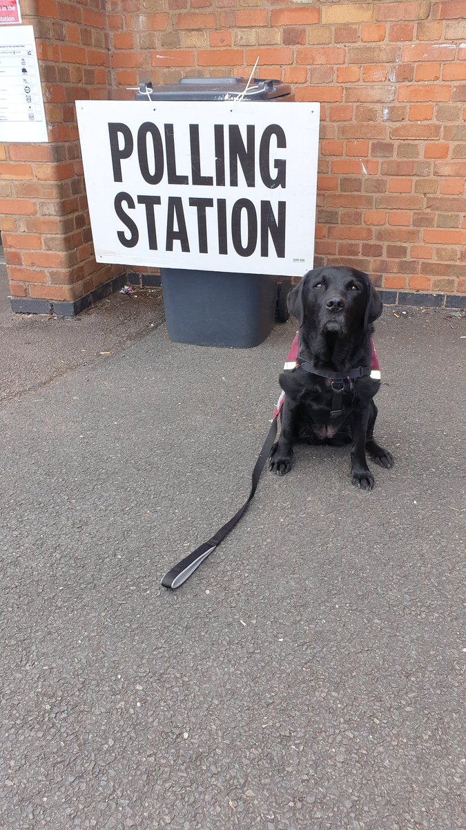 LizvanWessem's tweet photo. HD Neve has a message for all UK dogs: 'has your humum voted?? Mine has! If yours hasn't, drag them to the station. I think the treats-at-all-times party is the best!!' #dogsatpollingstations @HearingDogs https://t.co/O2Qx6Z0EPw