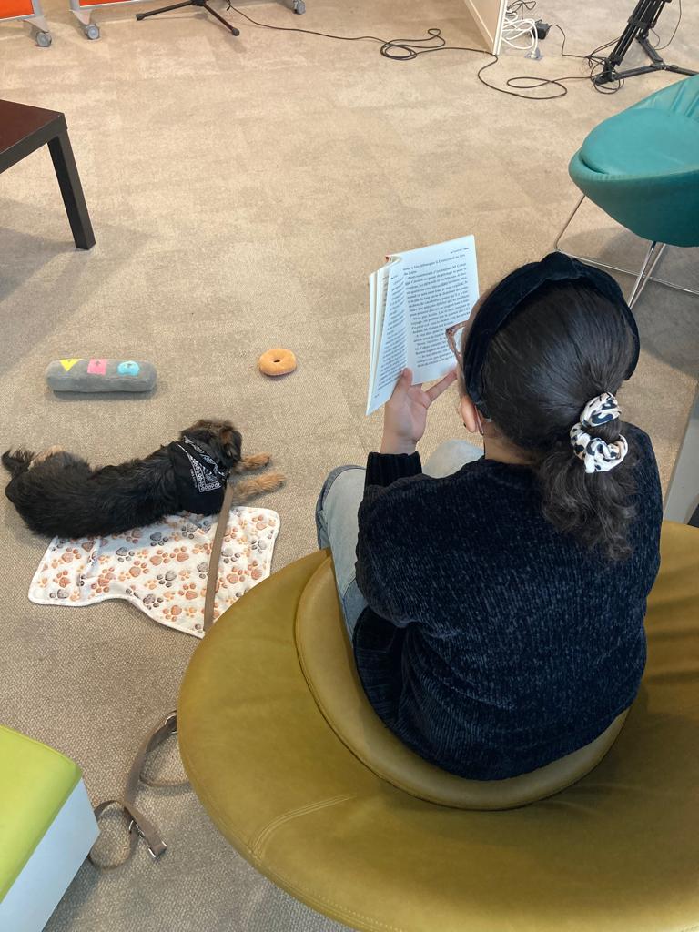 univ_spn's tweet photo. 🐕L'université a accueilli parents et enfants pour la dernière séance du projet Caniscol. Ce dispositif canin est destiné aux enfants en difficulté scolaire, et leur permet de participer à des séances de lecture, avec Bahia, la chienne médiatrice.
Lien➡️https://t.co/6Q5k0GiNEZ https://t.co/yybWDcJHdi