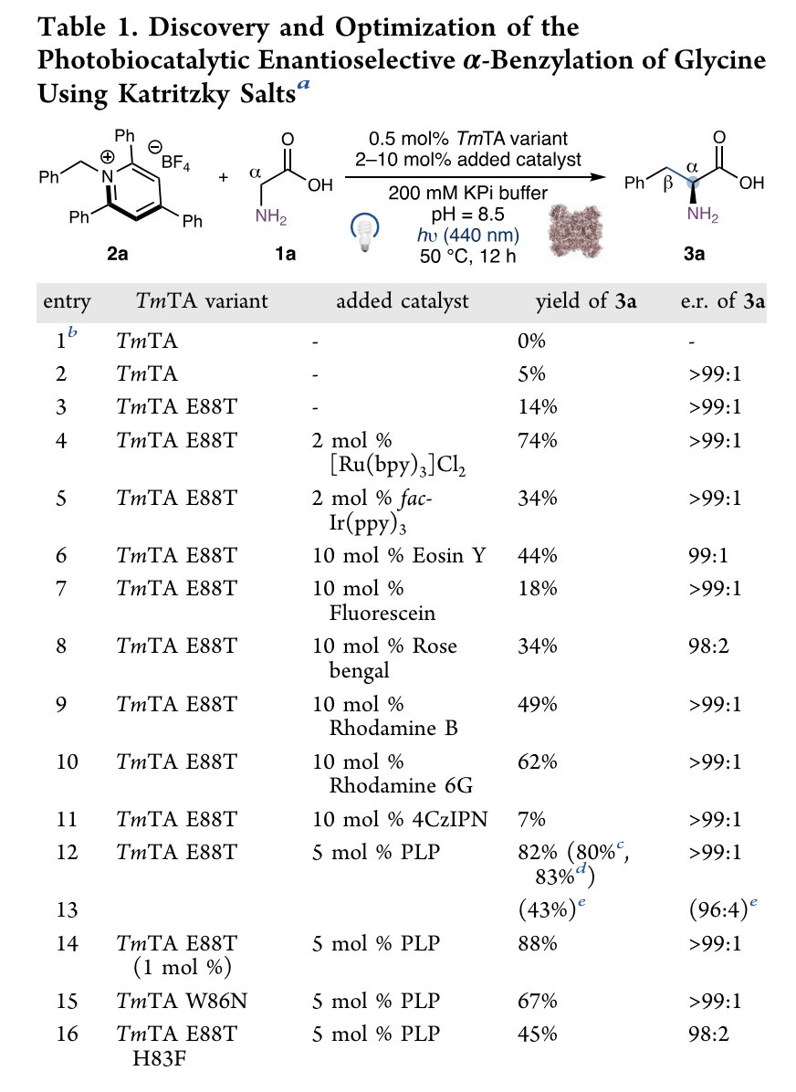 EnzymeChemistry's tweet photo. Threonine Aldolase-Catalyzed Enantioselective α-Alkylation of Amino Acids by Tian-Ci Wang, Zheng Zhang, Guodong Rao, Jiedong Li, Josephine Shirah, @rdavbritt, Qilei Zhu, @yang2biocat @ucsbchemistry in @J_A_C_S https://t.co/eWrYzBHz2z https://t.co/yCbIQrHRWD