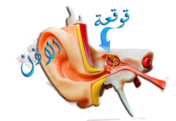 استعراض المقال
