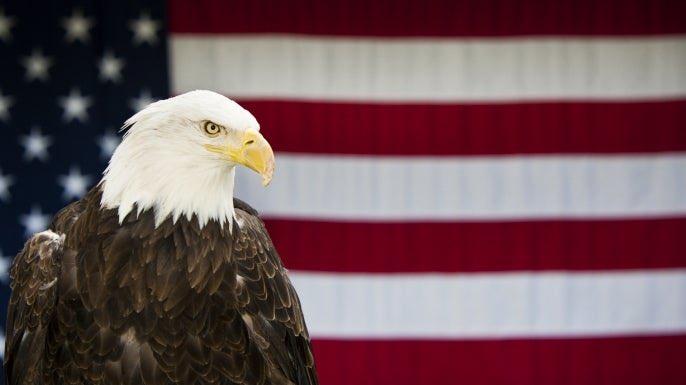 happy 4th of July